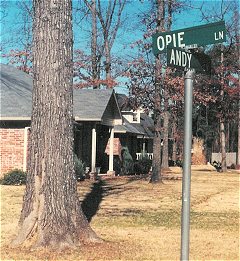 Andy & Opie Lane Street Signs