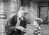 Buddy Ebsen as Opie's Hobo Friend